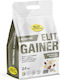 Elit Nutrition Gainer Lactose Free with Flavor Chocolate Banana 2kg