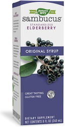 Nature's Way Sambucus Elderberry 240мл