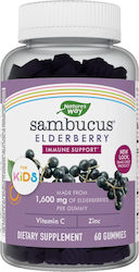Nature's Way Sambucus Elderberry pentru Copii 2...