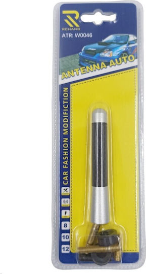 Car Antenna Roof Threaded 8cm in Black Color