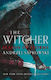 The Witcher, 8: Season of Storms (Hardcover)