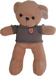 Lutrino Bear 40cm