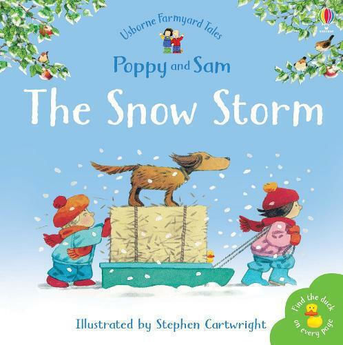 The Snow Storm The Snow Storm