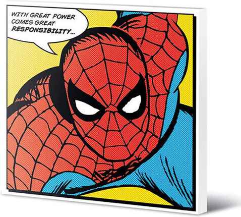 Pyramid International Kids Wall Art Spider-Man 40x40cm