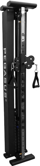 Pegasus T-SC01 Multi-Gym with Weights 100kg