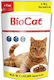 Biotur Biocat Nassfutter für Erwachsene Katzen in Beutel mit Huhn 100gr