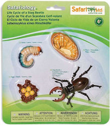 Safari Ltd Life Cycle of a Stag Beetle για 4+ Ετών