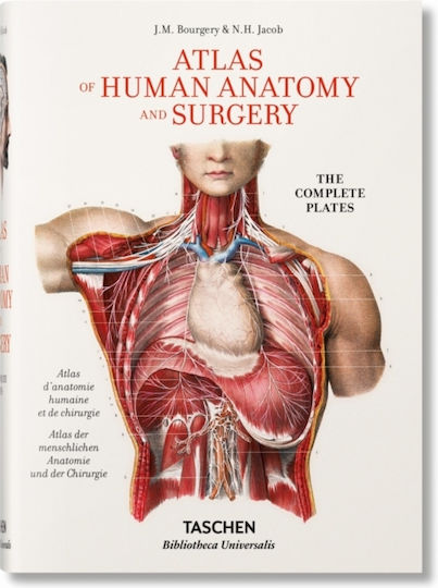 Atlas Of Human Anatomy And Surgery Atlas Of Human Anatomy And Surgery