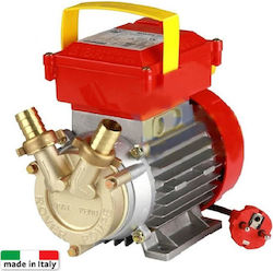 Rover Pompe Rover 25 CE Transfer Pump with 0.8hp Horsepower Rover Pompe Rover 25 CE Transfer Pump with 0.8hp Horsepower