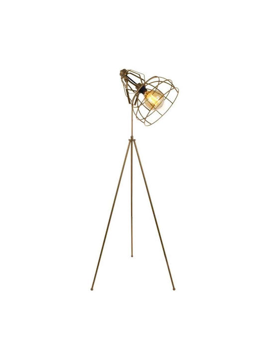Fylliana Cell Stehleuchte H150xB55cm. mit Fassung für Lampe E27 Bronze