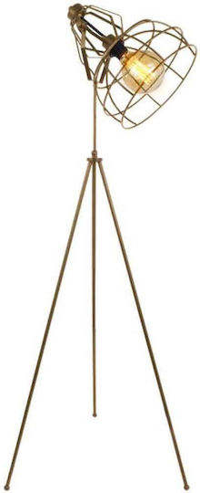Fylliana Cell Lampa de podea Î150xL55cm. cu Soclu pentru Bec E27 Bronz