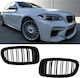Carner Διακοσμητική Μάσκα Αυτοκινήτου BMW F10 / F11 / M4