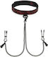 Fifty Shades of Grey BDSM Accessory Sweet Anticipation Collar Nipple Clamps Red