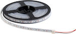Elmark Wasserdicht LED-Streifen Stromversorgung 24V mit Warmes Weiß Licht pro Meter und LED pro Meter SMD2835