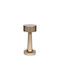 Keskor Plastic Table Lamp LED with Gold Shade and Base