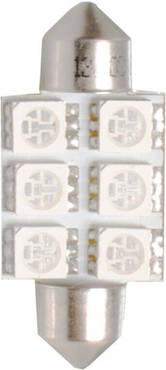 M-Tech Λάμπα C10W / C5W LED Μπλε 12V 1.44W 1τμχ