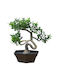 HOMie Artificial Plant in Small Pot 1pcs