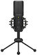 Behringer BU200 Πυκνωτικό Μικρόφωνο με USB Type-C Επιτραπέζιο