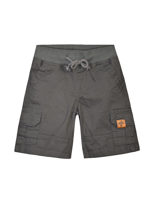 Energiers Kids Shorts/Bermuda Fabric Gray