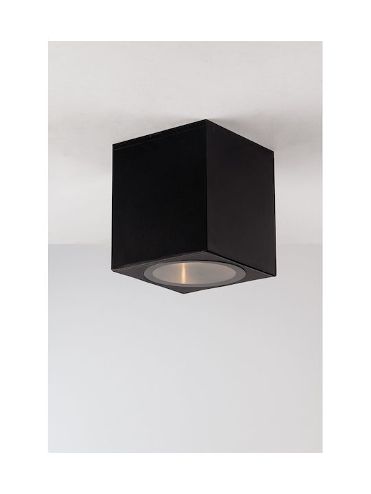 Fan Europe Outdoor Ceiling Lights Spot for Outdoor Space E27 in Black Color I-CITIZEN-Q1-NER