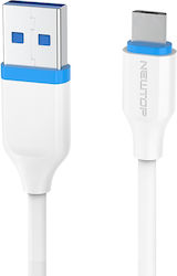 Newtop USB 2.0 USB-C masculin - USB-A 10W 3m (NT-26840)