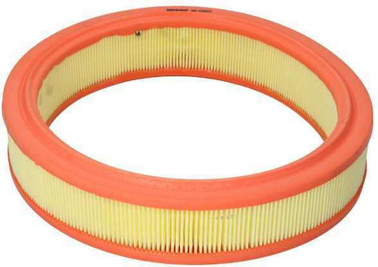 Filtron Filtru de Aer Auto pentru Fiat Seicento 187