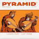 Pyramid Premium Pvf Single Carbon String for Ou...