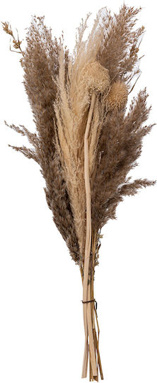 Μπουκέτο από Pampas grass 58cm