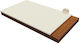 Amve Coco Latex Hospital Mattress Latex 90x200x10cm