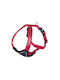 Nobby Hundegeschirr Classic Preno Rot Groß / X-Large 35mm x 75-90cm 80735