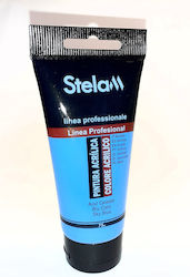 Stelan Stelam Colore Acrilico Ακρυλικό Χρώμα Ζω...