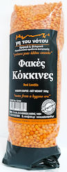 Γη του Νότου Φακές 500gr Γη του Νότου Φακές 500gr
