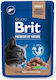 Brit Premium Sterilisierte Nasse Katzenfutter für Erwachsene Katzen in Beutel mit Leber ohne Gluten 100gr