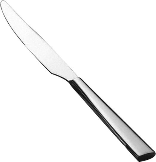 Salvinelli Time Messer Obst aus rostfreiem Stahl 23.5cm 12Stück