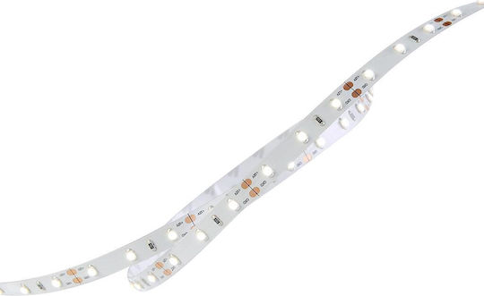 Geyer LED Strip 12V Cold White Light 5m Type SMD3528
