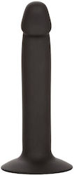 Calexotics Slim Stud Πρωκτικό Dildo Μαύρο 13.25cm Calexotics Slim Stud Πρωκτικό Dildo Μαύρο 13.25cm