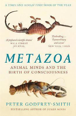 Metazoa, Animal Minds and the Birth of Consciousness