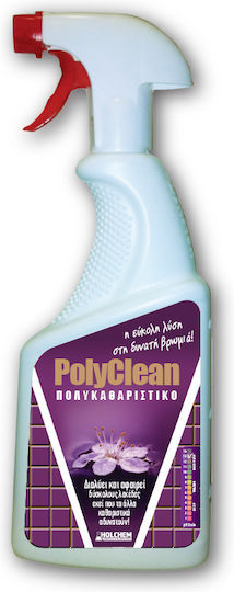 Holchem Polyclean Καθαριστικό Spray Γενικής Χρήσης 710ml