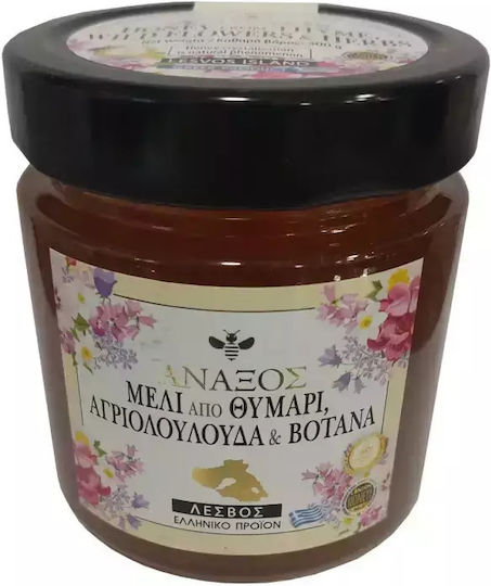 ΑΝΑΞΟΣ Μέλι από Θυμάρι, Αγριολούλουδα, Βότανα 300gr
