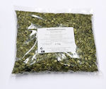 Organic Pumpkin Seeds 1kg Health Trade