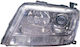 Depo Vordere Lichter für Suzuki Großer Vitara 2006-2015 1Stück
