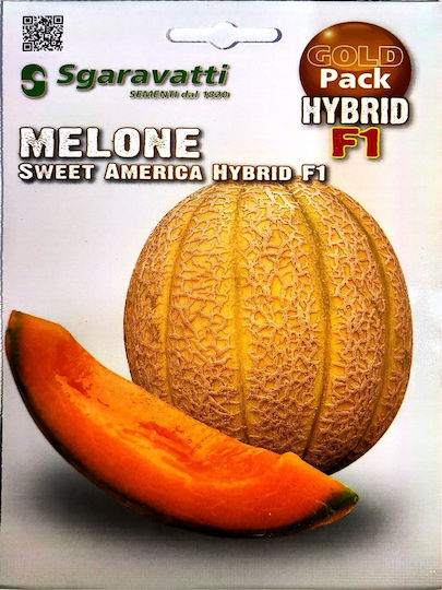Evotris Σπόροι Πεπονιού Sweet America 25τμχ