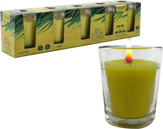 ArteLibre Lemongrass Αρωματικό σε Βάζο Lemongrass