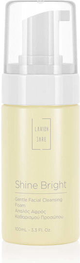 Lavish Care Shine Bright Reinigungsschaum für das Gesicht für Aufhellung & beruhigende Wirkung 100ml