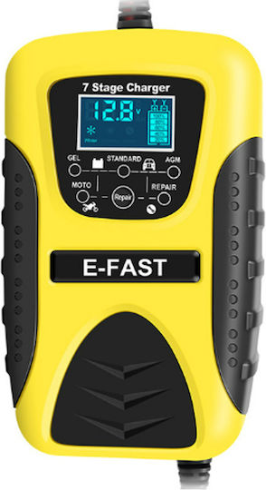Factory Autobatterieladegerät 6/12V