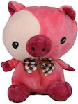 Plush Little Pig