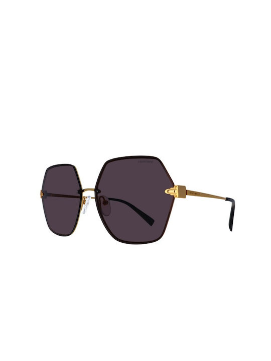 Ana Hickmann Women's Sunglasses with Gold Metal...