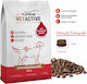 Platinum Pet Food & Care Platinum 10kg Dry Food for Adult Dogs with Meat