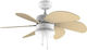 Cecotec Energy Silence Aero 3600 92cm mit Leuchte Braun / Weiß