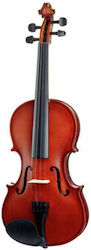 Startone Student I Set 4/4